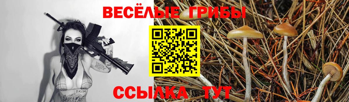 Калуга  Псилоцибиновые грибы MAGIC MUSHROOMS  Вход с VPN 